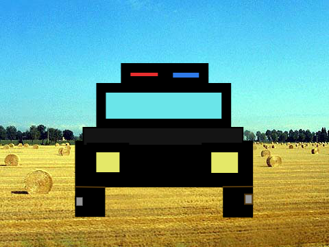 police car