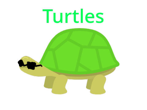I Like Turtles Song 