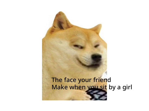 Some Doge pictures. remix