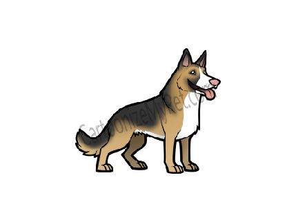 Max ( Adopted)