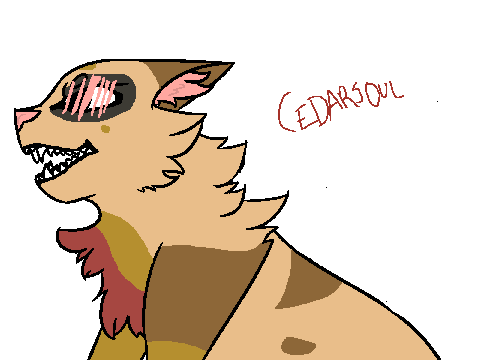 c e d a r s o u l
