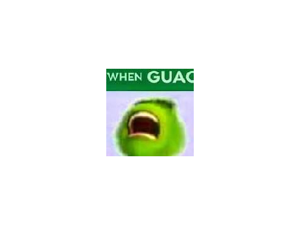 when the guac is extra