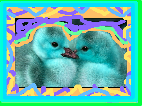 Ducks