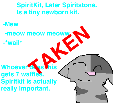 StormClan auditions. remix-2