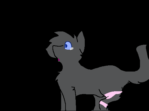 couting star warrior cat shipping part 13