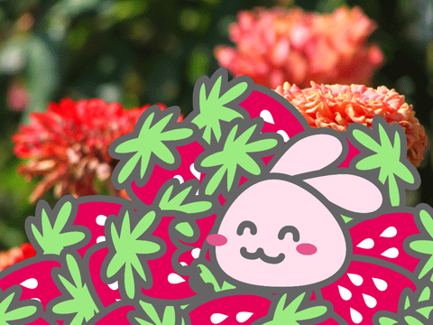 Strawberries forever