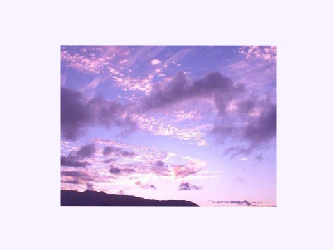 ✤