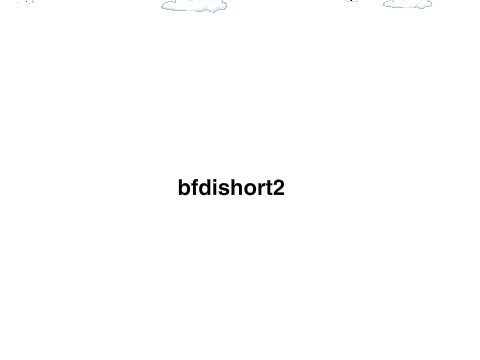 bfdishort2