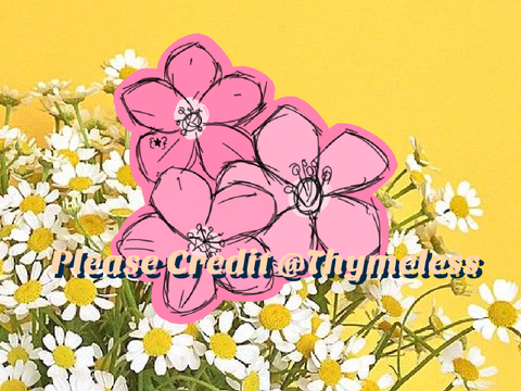 Cherry Blossom Request