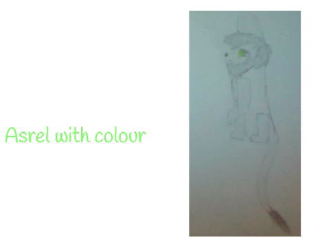 My Drawing on Paper
