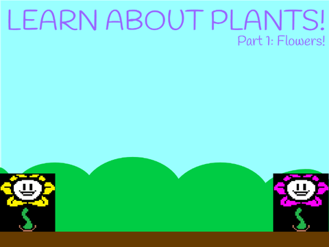 Learn About Plants - Part 1: Flowers
