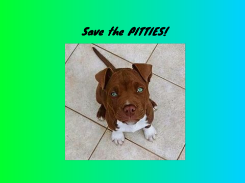 Save the Pitties!