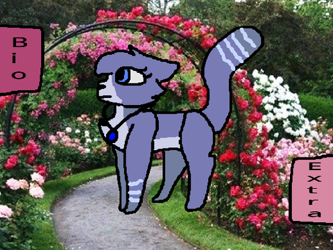 ~ Enchanted Cats ~ River