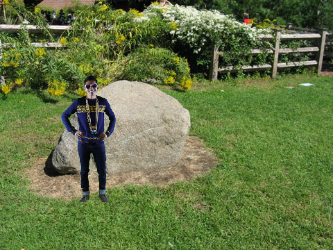 garden game