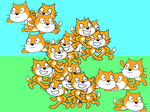 The cats run around