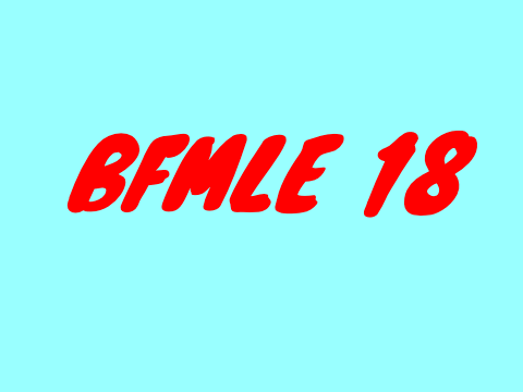 For anyone who wants to see BFMLE 18 