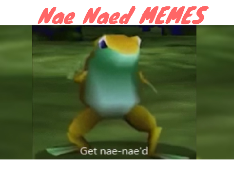 Get Nae Naed Memes