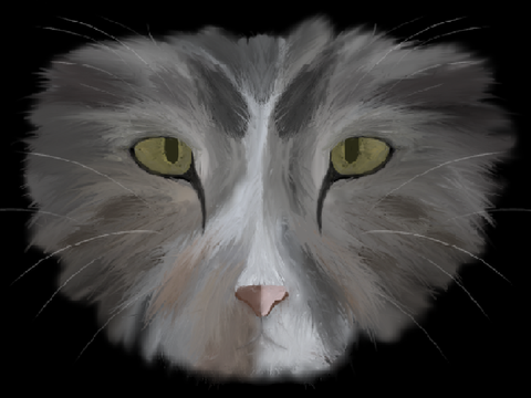 I Tried to Draw a Realistic Cat Face