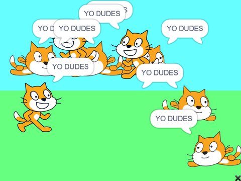 The cats WEIRD