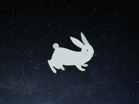 space bunny