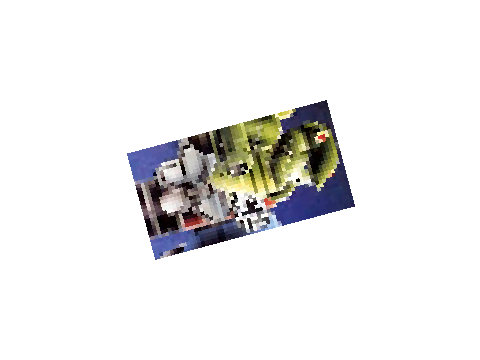 s n e k