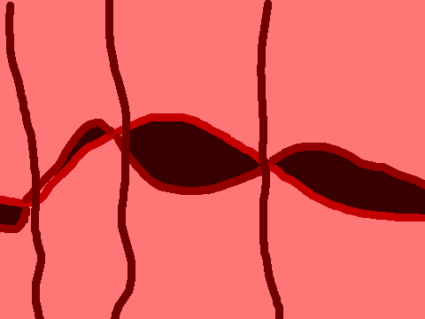 Through The Body
