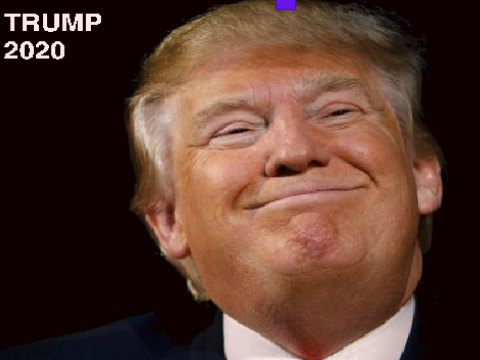 Trump Party
