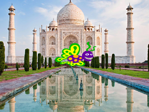 THE JEFF FROG’S MARVELOUS JOURNEY SUCEEDS!