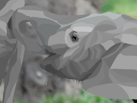 Shaded Elephant.