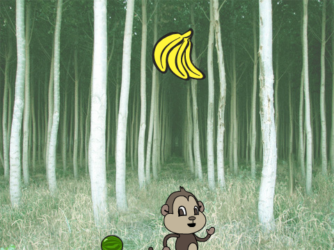 MONKEY MADNESS