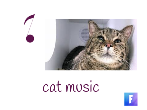 cat music
