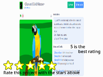 Project Reviews
