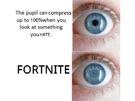 not fortnite remix