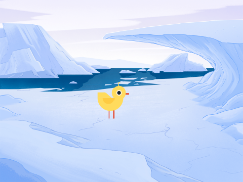  The Artic chick 2