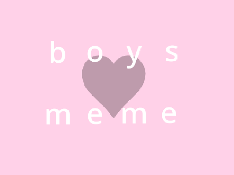 b o y s  ♥  m e m e 
