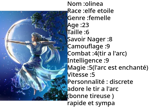 mon êrsonnnage