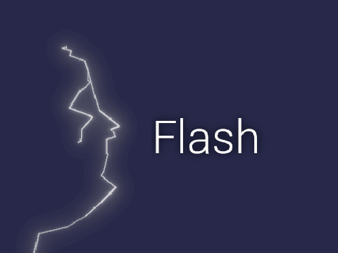 Flash