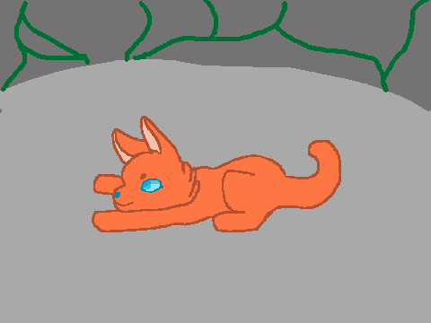 random animation ✻ 
