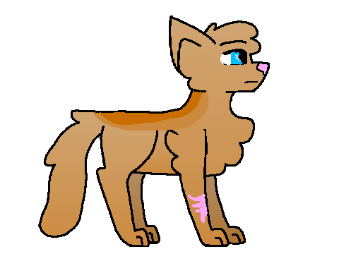 Timber ref 