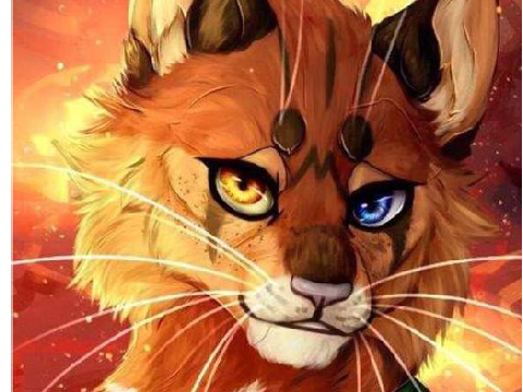 WarriorCats SONG - When you let her go...