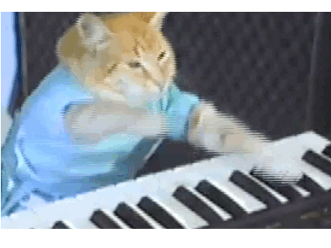 Keyboard Cat remix