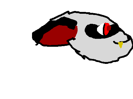 random feral 