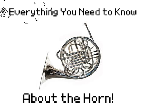 Everything You Need to Know About the Horn!