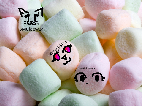Add yourself as a marshmallow..remix remix