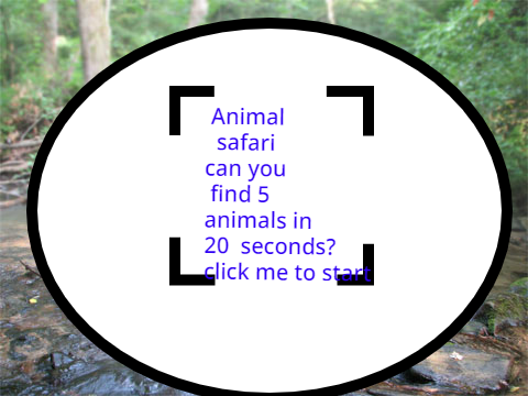 Find the animals 