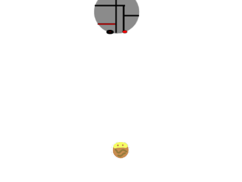 Final fight