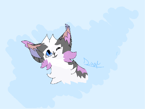 Gift for Splashflight