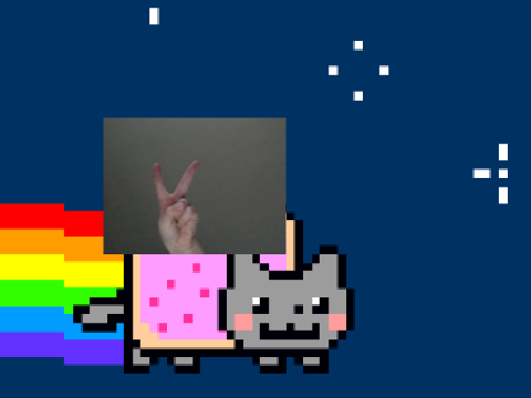 Add yourself riding the Nyan Cat remix remix