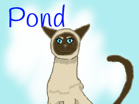 My OC Pond