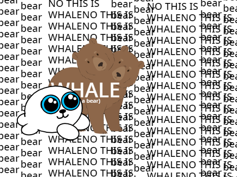 whales vs seals
